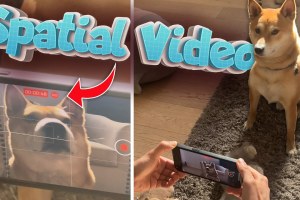How to watch Apple Spatial Video on Meta Quest 3 or other devices